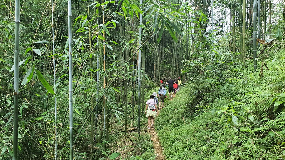 Hanoi to Van Son Cycling Tour 3 Days: Explore the Roof of Muong Bi